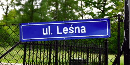 ul. Leśna w Puńcowie